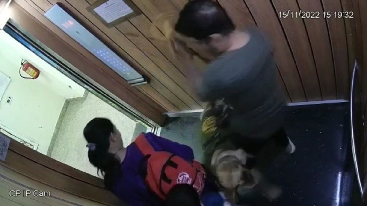 लिफ्ट में मासूम बच्चे पर अचानक झपट पड़ा कुत्ता, मां के साथ स्कूल जा रहा था, VIDEO आया सामने